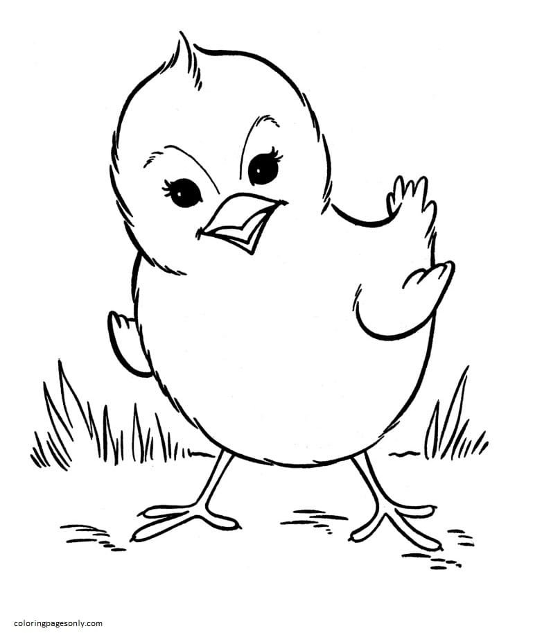 Farm Animal Coloring Pages Printable for Free Download