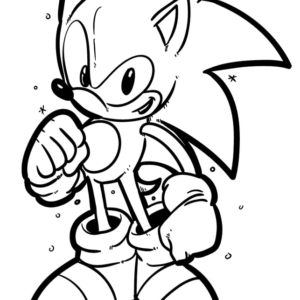 Sonic Coloring pages 26  Cartoon coloring pages, Hedgehog colors, Cool  coloring pages