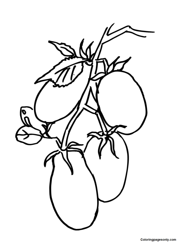 Tomato Coloring Pages Printable for Free Download