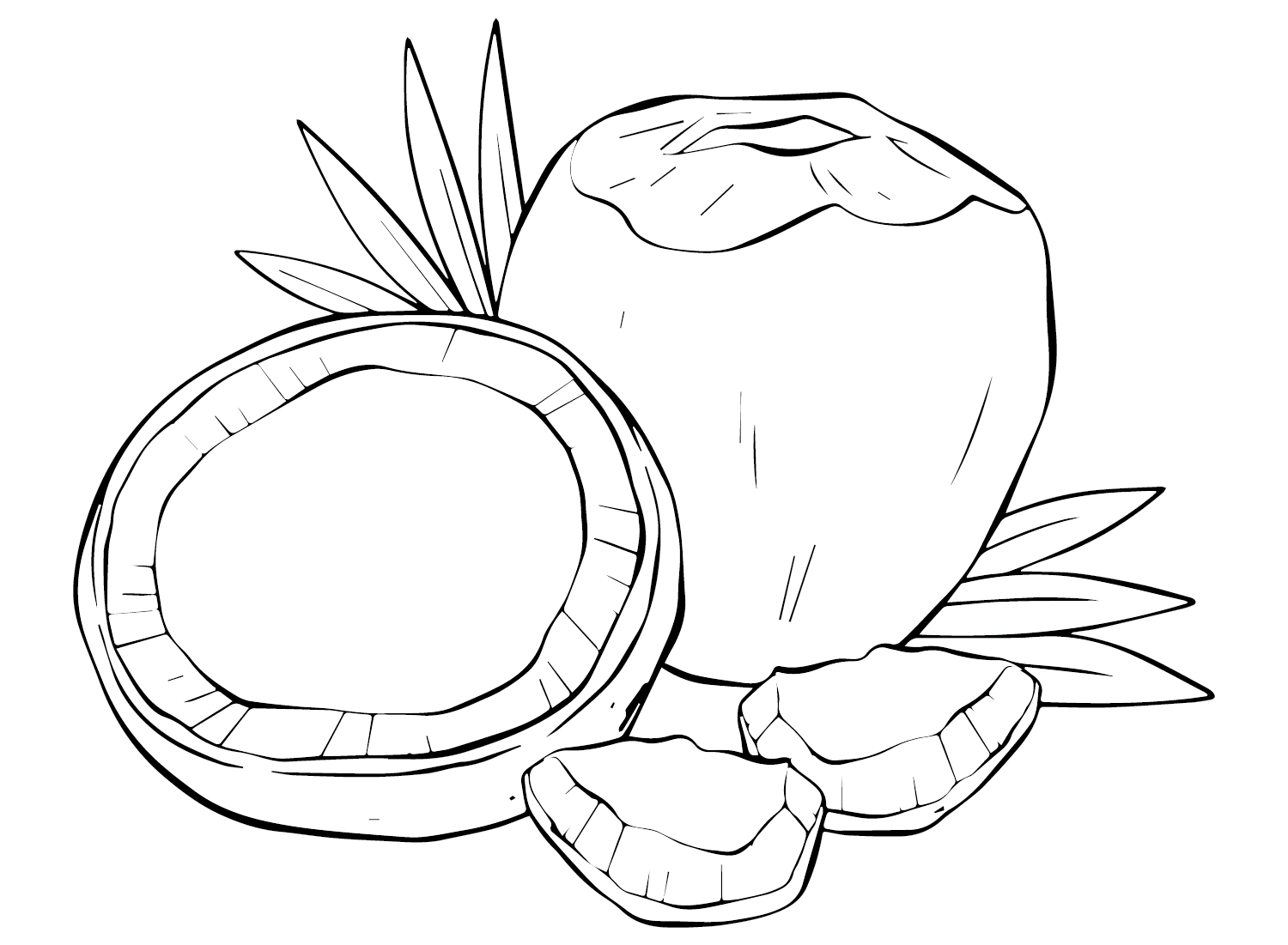Coconut Coloring Pages Printable for Free Download