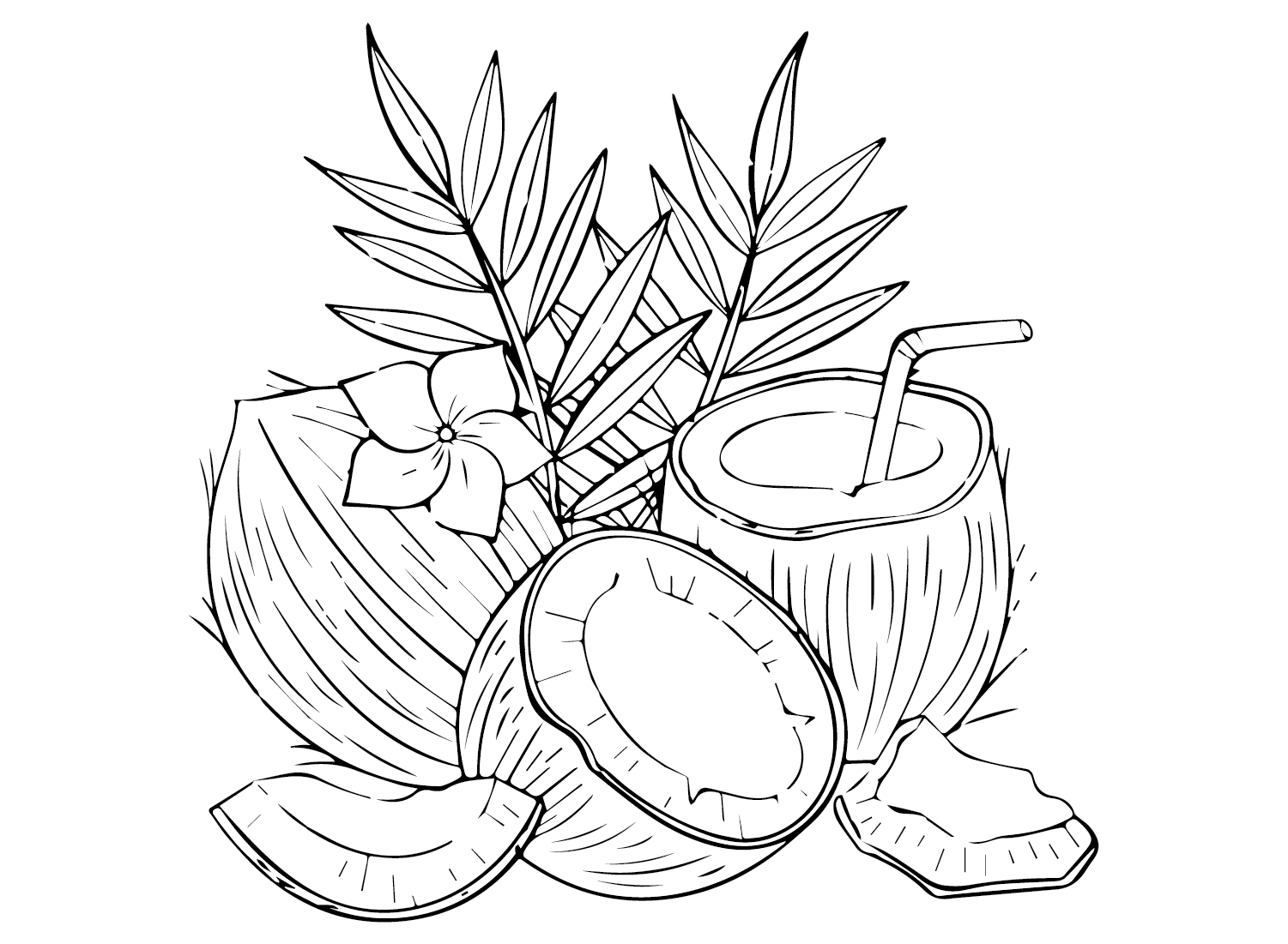 Coconut Coloring Pages Printable for Free Download