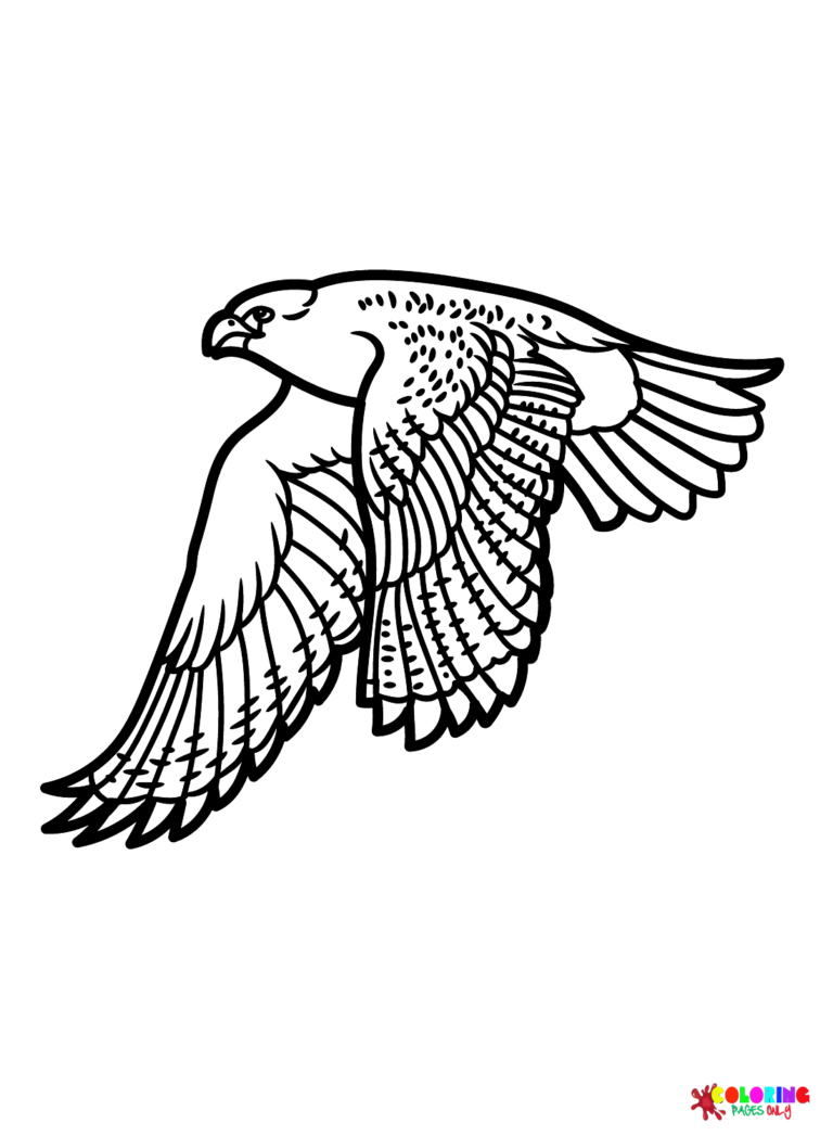 Falcon Coloring Pages Printable for Free Download