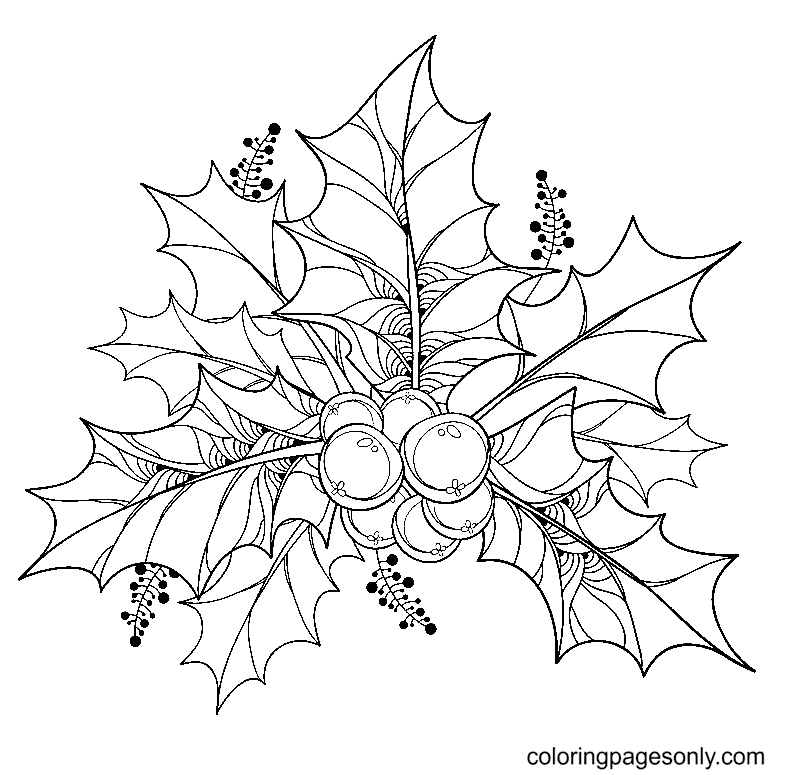 FREE! - Christmas Holly Colouring Page