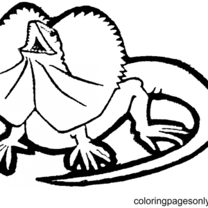 Lizards coloring pages - ClipArt Best