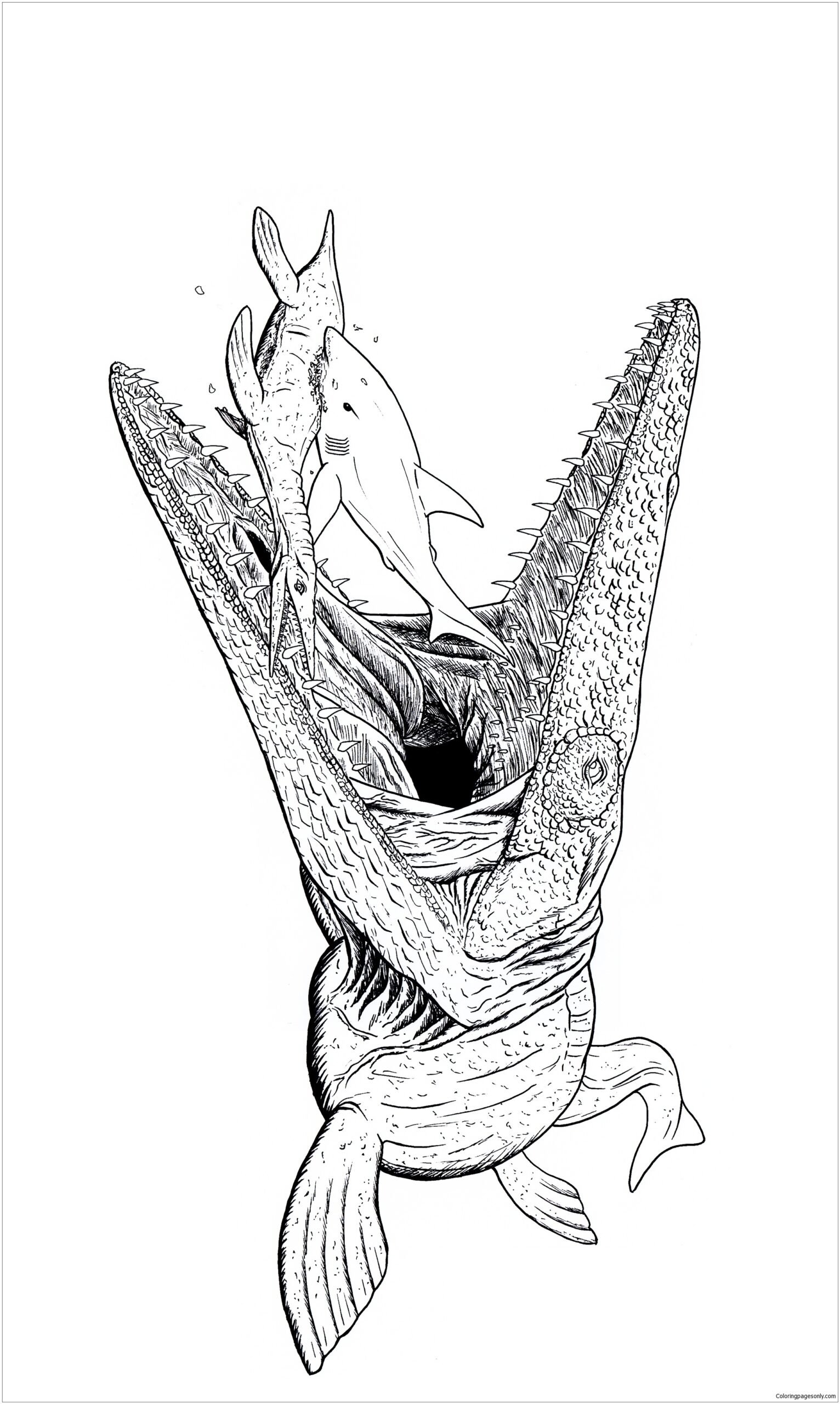 Mosasaur Coloring Pages Printable for Free Download