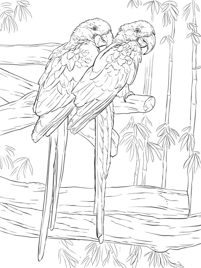 10 Free Realistic Animal Coloring Pages for Unleashing Your Inner Artist