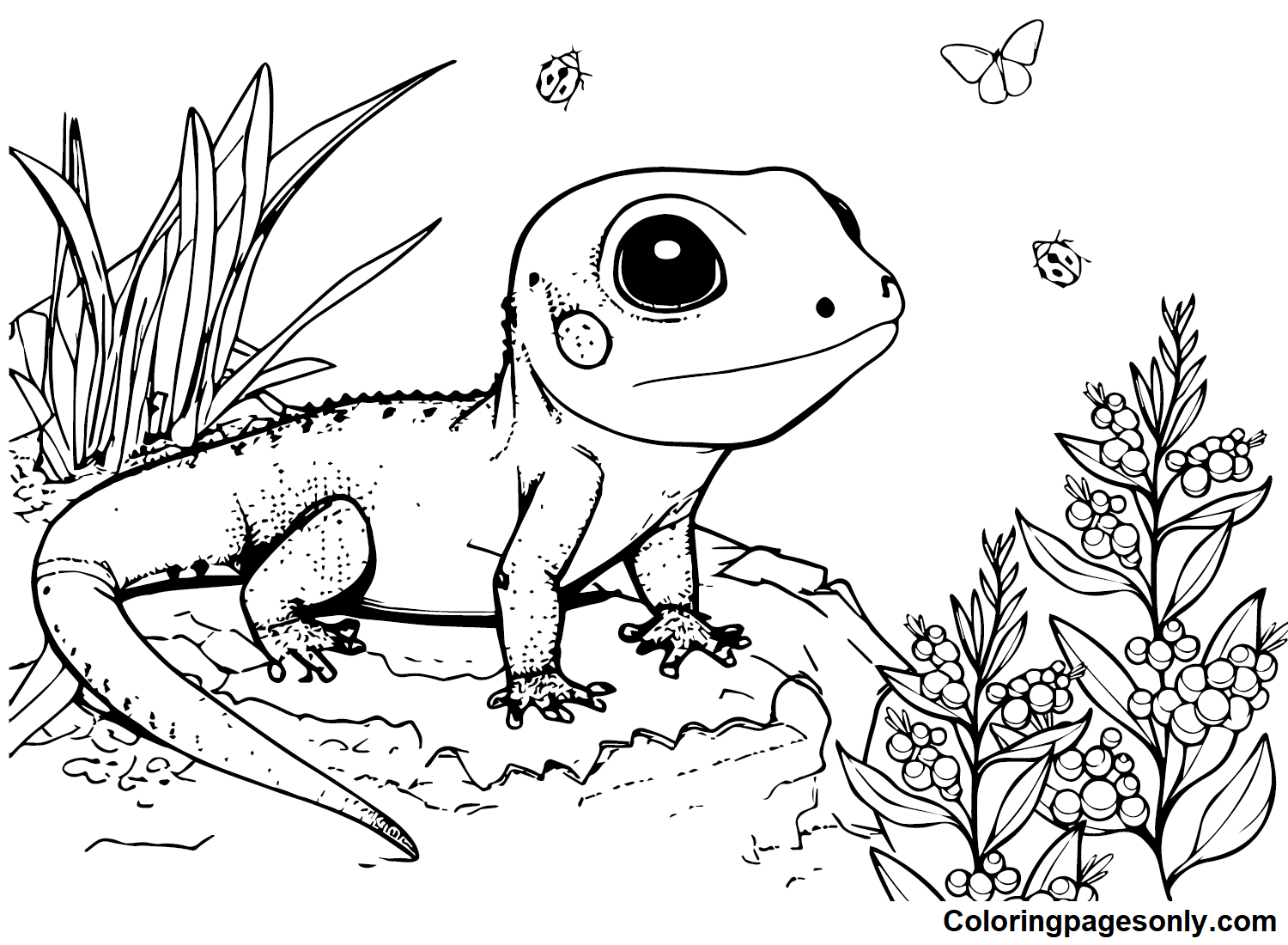 Skink Coloring Pages Printable for Free Download
