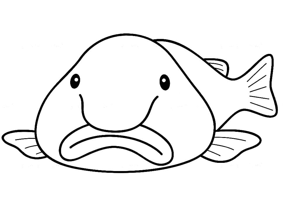 Blobfish é feio Páginas para colorir - Blobfish Coloring Pages