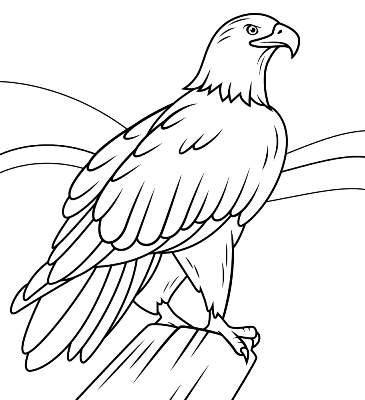 10 Majestic Eagle Coloring Pages to Print for Free