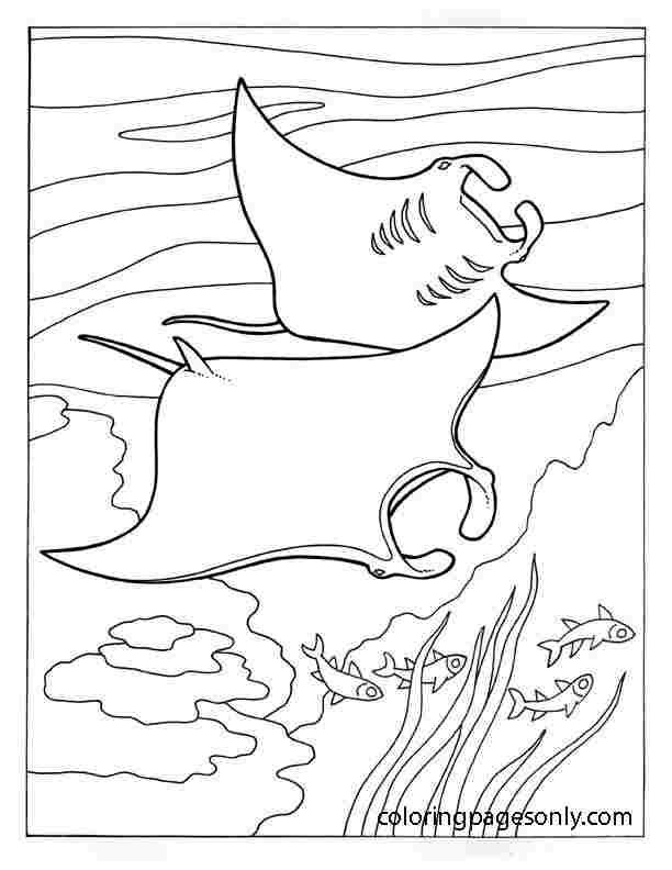 sting ray coloring page