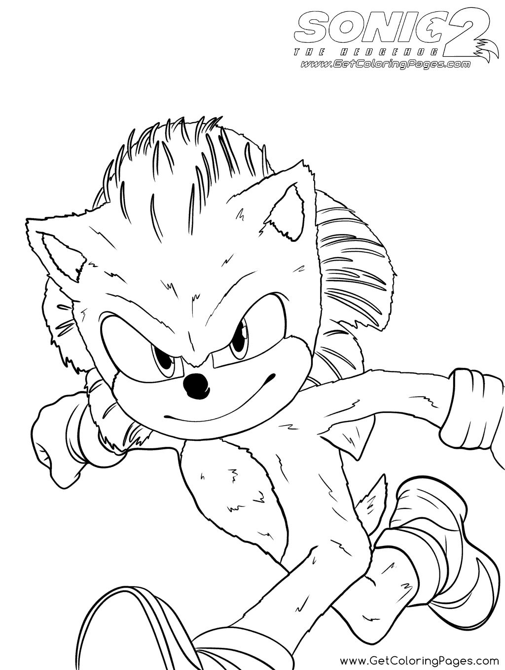 43 coloring pages of Sonic