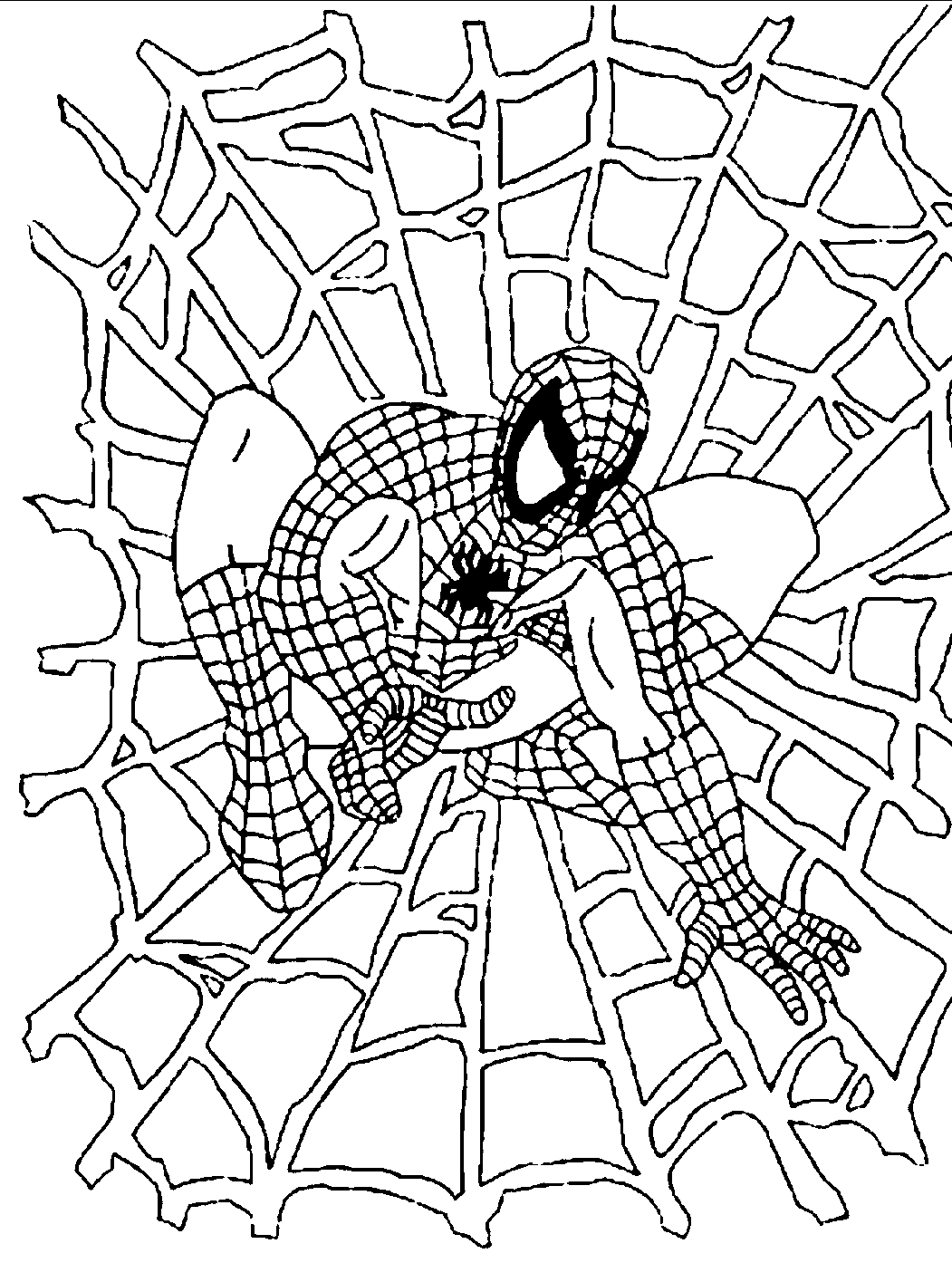 Spiderman coloring book page  Spiderman coloring, Coloring pages for kids,  Cinderella coloring pages