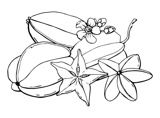 Star Fruit Coloring Pages Printable for Free Download