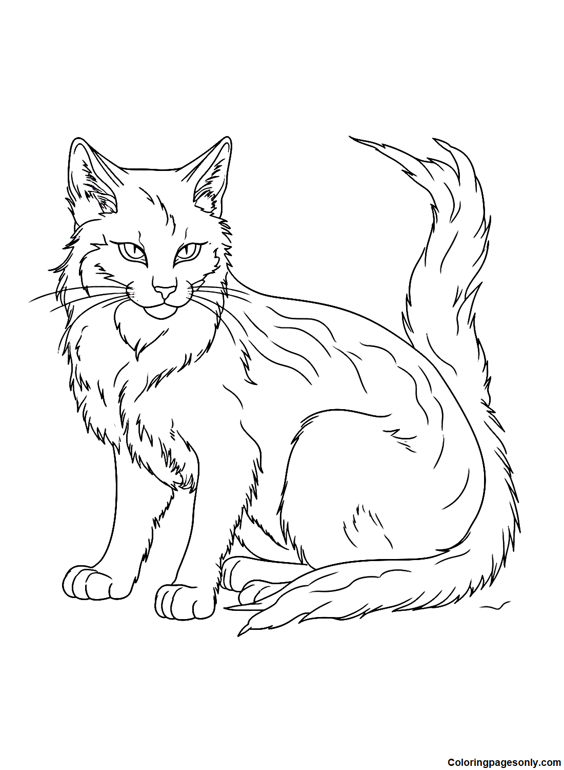 warrior cat couple coloring pages