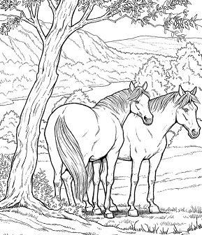 Realistic Animal Coloring Pages Printable for Free Download