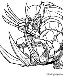 Wolverine Coloring Pages Printable for Free Download