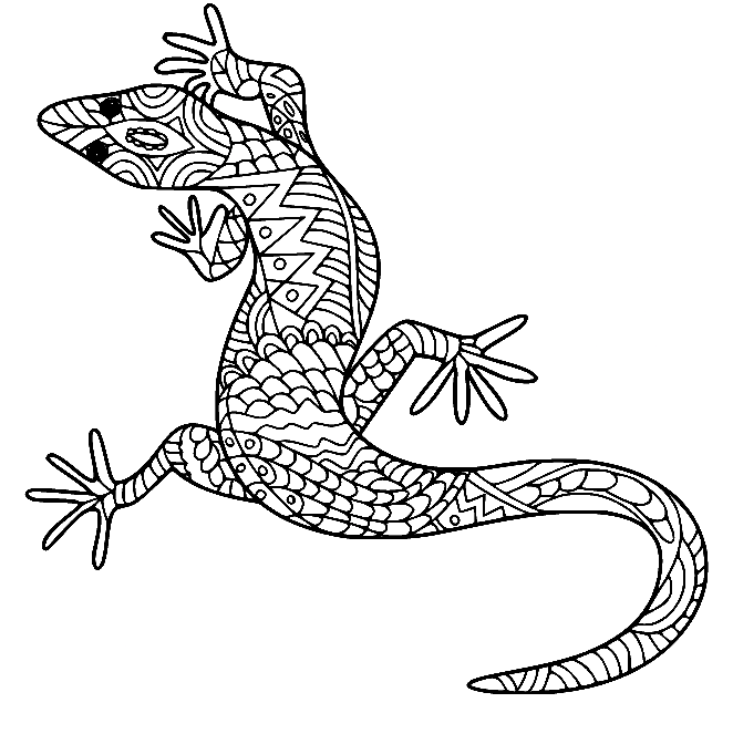 Lizard Coloring Pages 