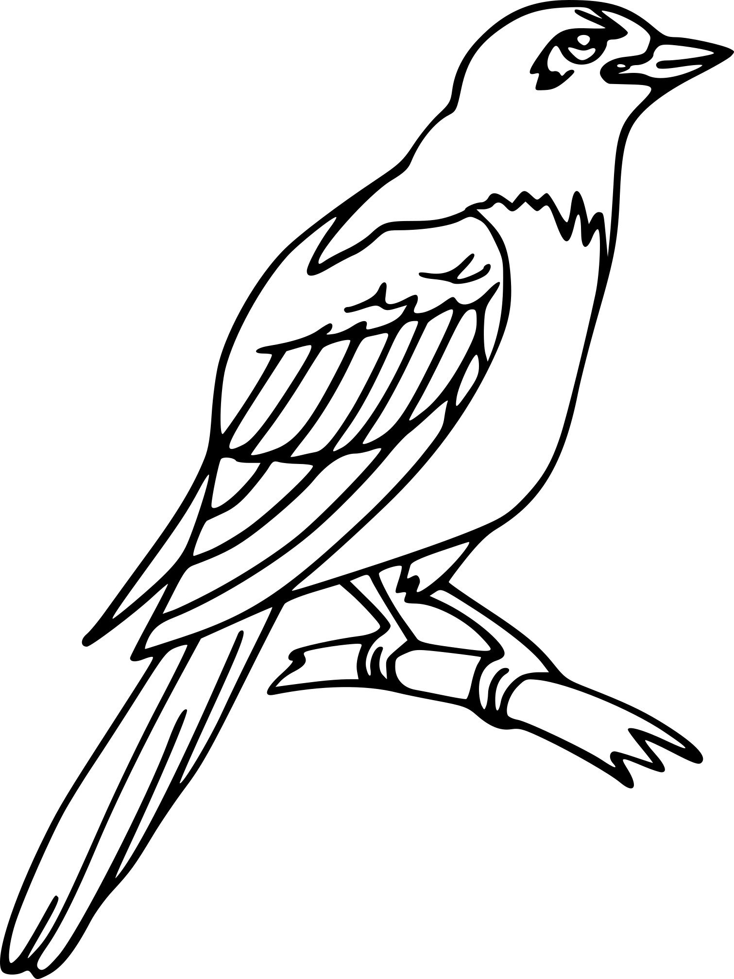 Magpie Coloring Pages Printable for Free Download